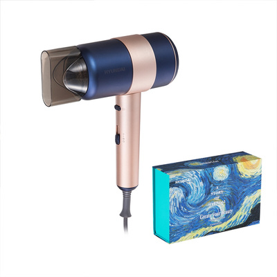 大功率恒溫電吹風(fēng)  